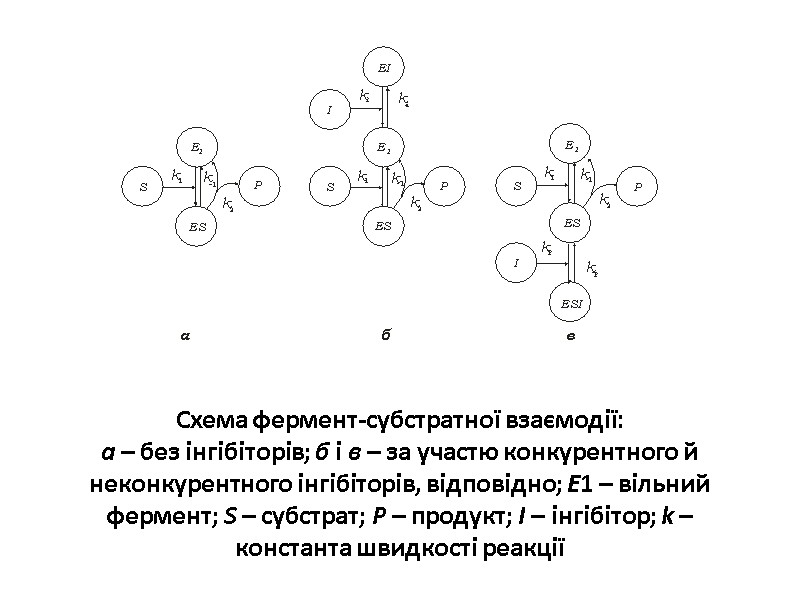 Схема фермент-субстратної взаємодії: а – без інгібіторів; б і в – за участю конкурентного